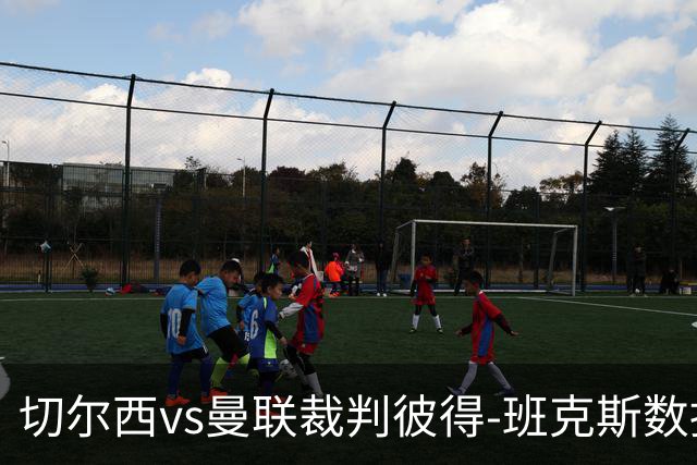 切尔西vs曼联裁判彼得-班克斯数据：近20场5红79黄2点
