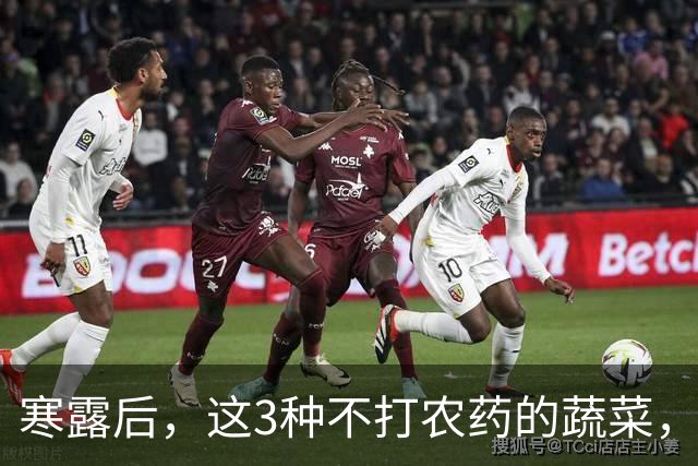 寒露后，这3种不打农药的蔬菜，再贵都要买，强身健体，增免疫