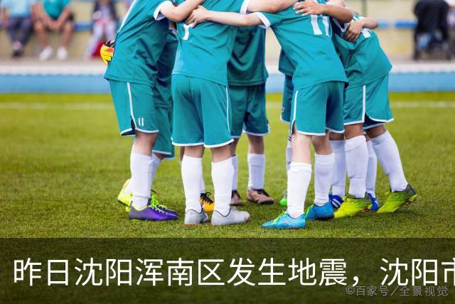 昨日沈阳浑南区发生地震，沈阳市民：手机预警了但没感觉到！