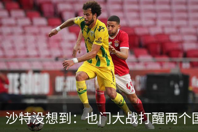 沙特没想到：也门大战打醒两个国家，一个是阿联酋，一个是伊朗