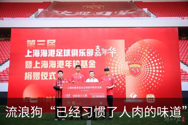 流浪狗“已经习惯了人肉的味道”